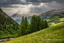  lienz