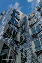 gehry bauten