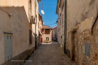 fazana