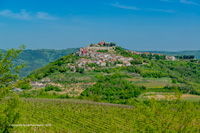 motovun