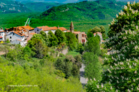 motovun