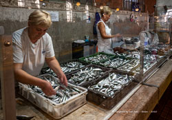 fischhalle