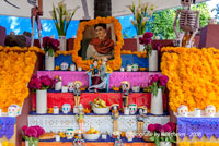 frida kahlo