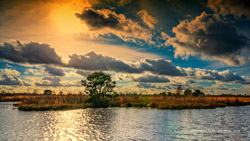 opeldijk nl