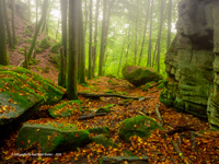 eifel im herbst 