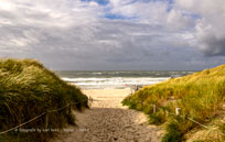 texel