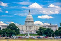  capitol